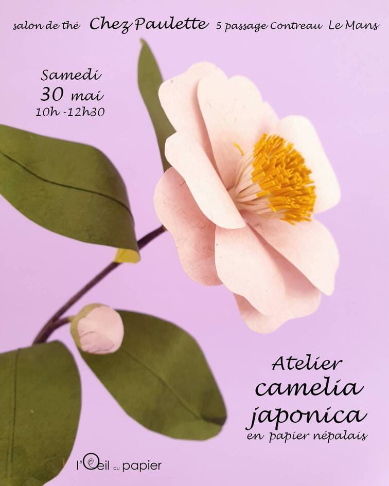 atelier camelia chez Paulette